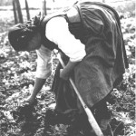 My grandmother working on the field