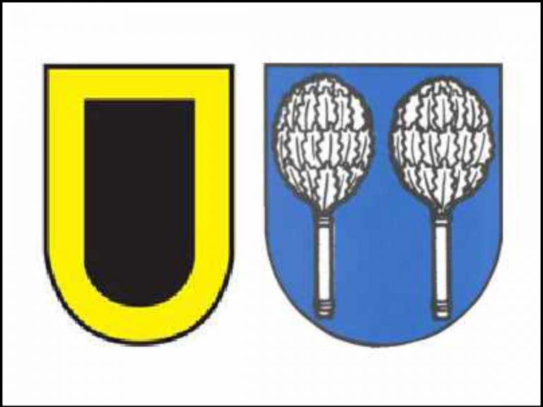 Coat of arms of Matzingen and Jettenburg