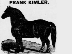Pferd Frank Kimler